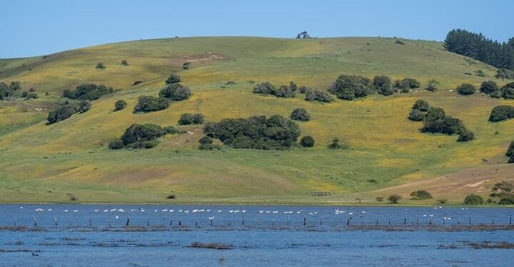 El país de Sudamérica que ostenta dos de los mejores paisajes del mundo y cómo visitarlos
