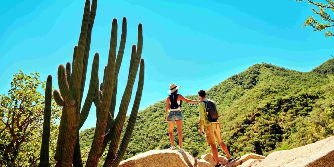Los Cabos, un destino exclusivo por su oferta de lujo, sostenibilidad y gastronomía
