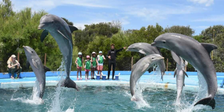 Destinos ideales en Argentina para viajar con niños