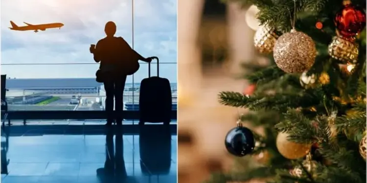 Florida, con su clima cálido y su vibrante ambiente festivo, atrae a miles de turistas durante toda la temporada navideña en Estados Unidos.