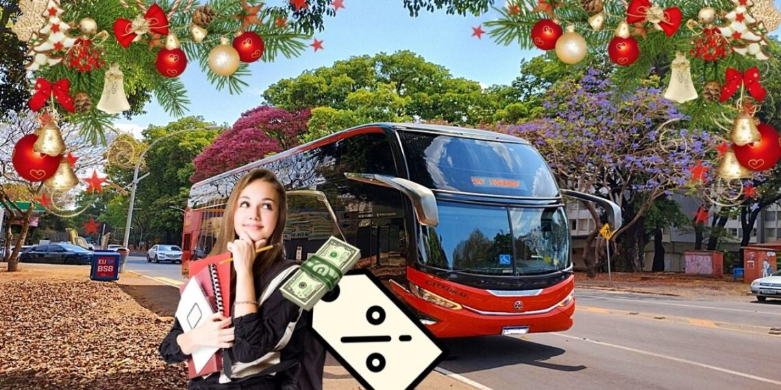 Vacaciones de Navidad: Así serán los descuentos en autobuses para estudiantes y maestros en 2024