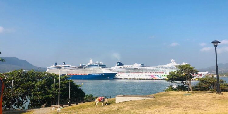 Puerto Plata recibirá el Año Nuevo con la llegada de 81 cruceros en el mes de enero – El Atlantico