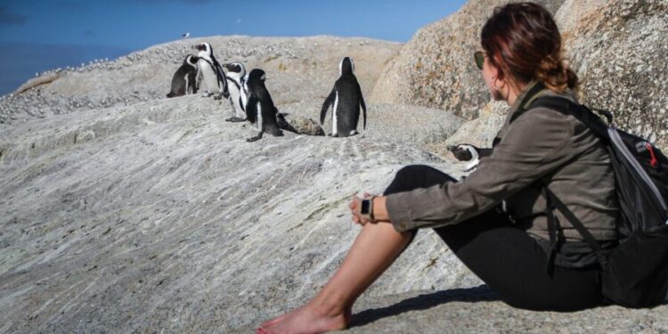 Nace el primer curso sobre Turismo Responsable con los Animales para profesionales del sector – EBFNoticias
