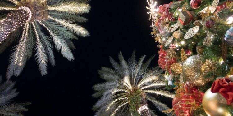 Un Pueblo de Florida Sigue Recibiendo Reconocimientos Navideños 