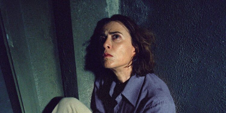 Aún estoy aquí película: Estreno, dónde ver, reparto y traíler