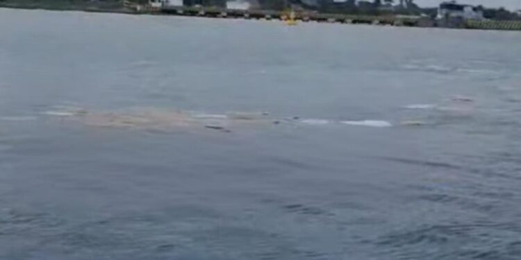 Basura de un Crucero Flota Cerca de los Arrecifes de Cozumel - Diario Cambio 22