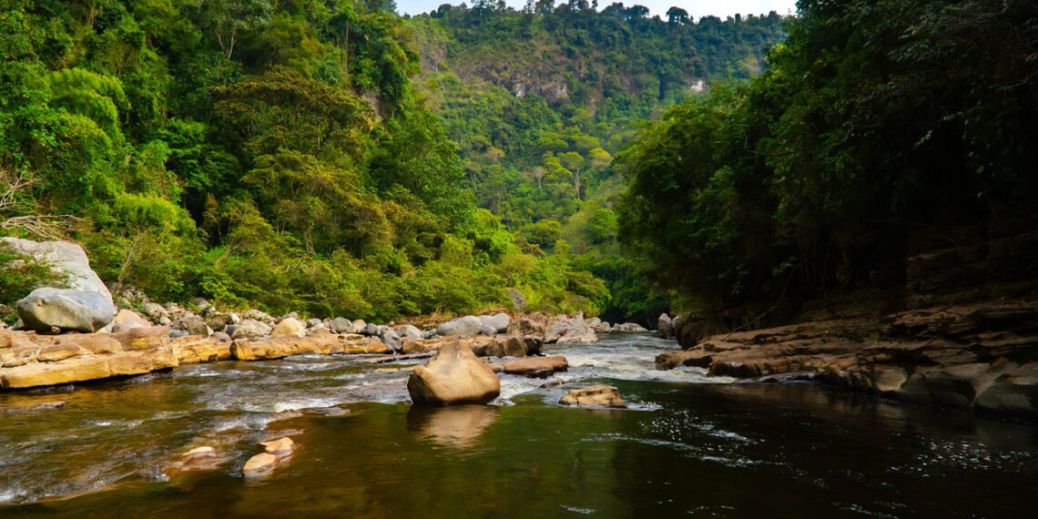Colombia es uno de los mejores destinos para visitar en 2025, según medios internacionales