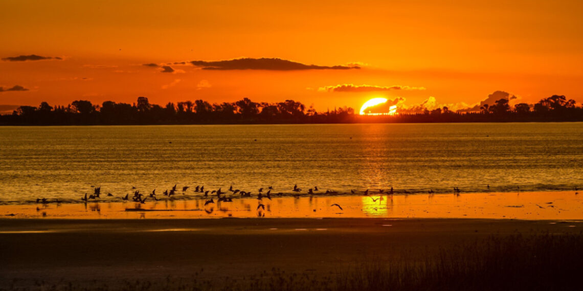 Chascomús, en Buenos Aires. Foto: Turismo Chascomús.