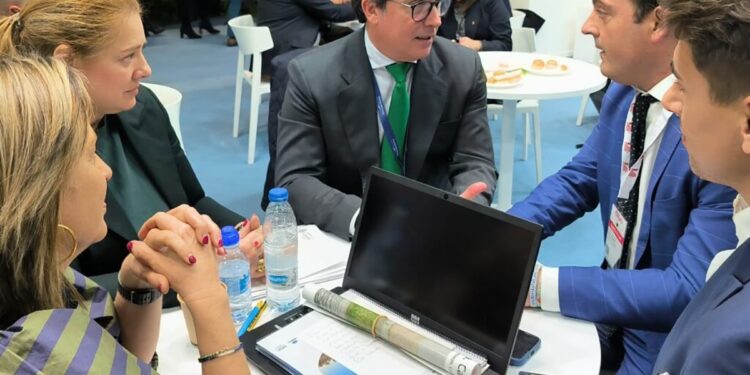 El puerto de Castellón progresa en cruceros