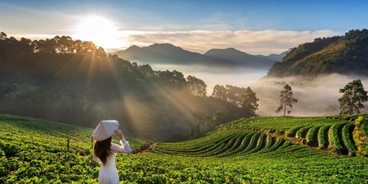 Vietnam, viajes 2025