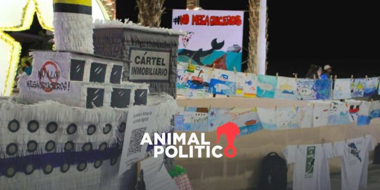 Colectivos piden frenar el turismo masivo de cruceros en Baja California Sur