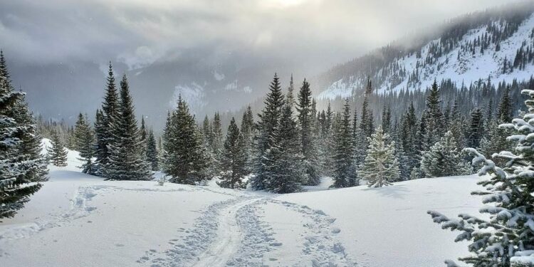 La IA revela los mejores destinos para disfrutar el invierno en EU