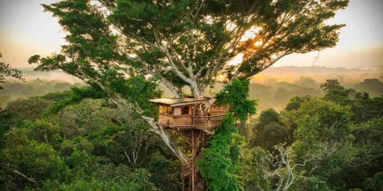 GQ México y Latinoamérica