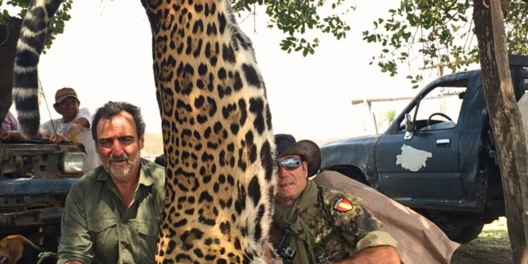 Más de 30 viajes ilegales para cazar jaguares hasta por 50.000 dólares: así operaba la red de Jorge Néstor Noya que saqueaba la fauna en Bolivia