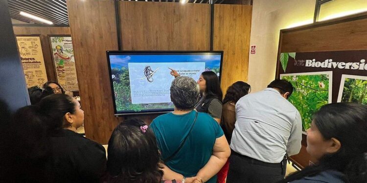 por que agencias de viaje visitaron cacha cacao - El Heraldo de Tabasco