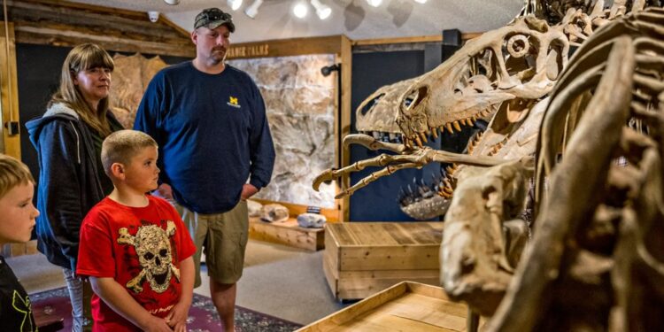 ¿Cuáles son los mejores destinos para ver fósiles de dinosaurios? - Código San Luis