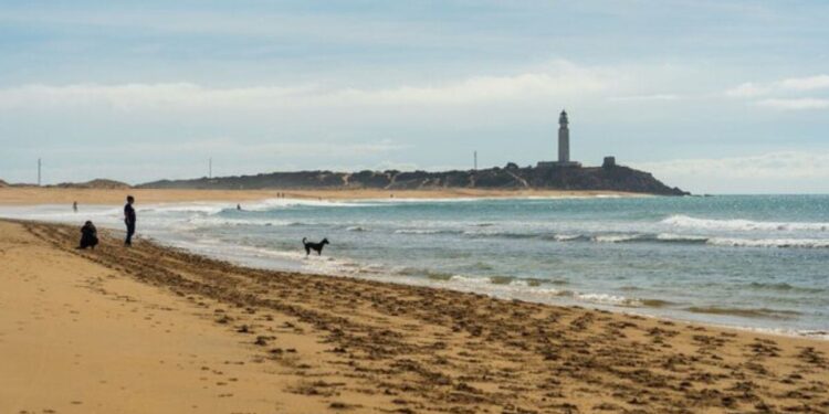 Las mejores playas de Sudamérica. Fuente: Freepik