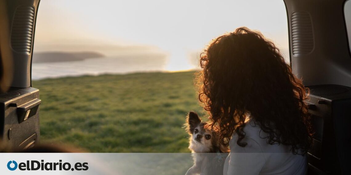 Cuatro destinos cómodos y adaptados en España si tienes pensado viajar con tu perro