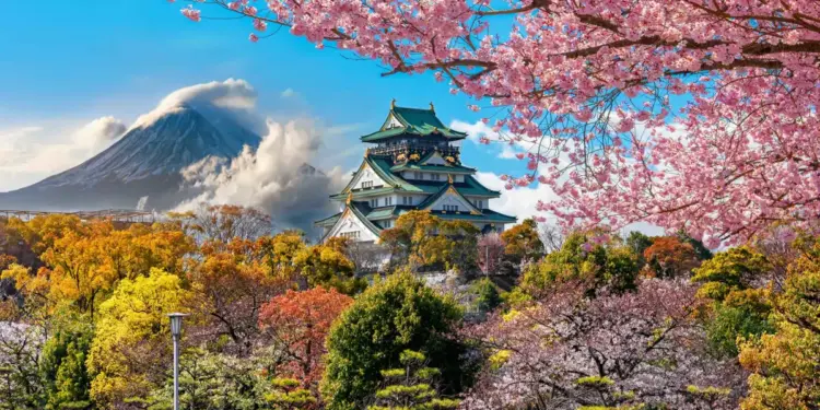 cuatro formas únicas de viajar por el país nipón