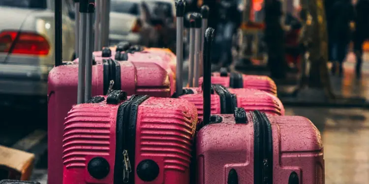 El 96% de los viajes del Club de los 60 son adjudicados a agencias de Valladolid