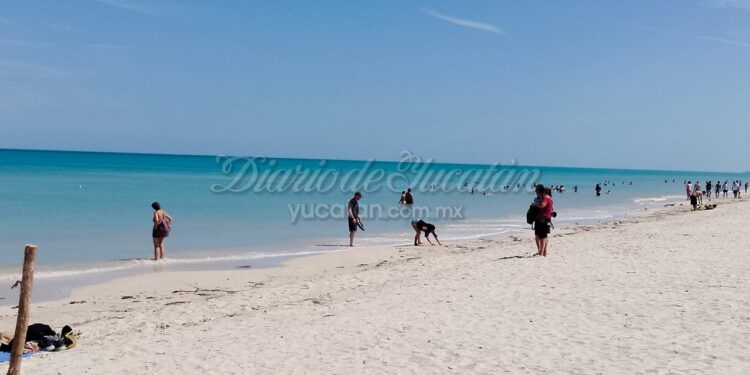 Crucero Islander deja sensación agridulce en Progreso