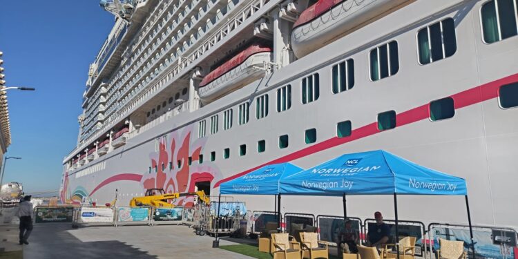 Empresas del segmento de cruceros pedirían extender pausa a un año al cobro de nuevo impuesto