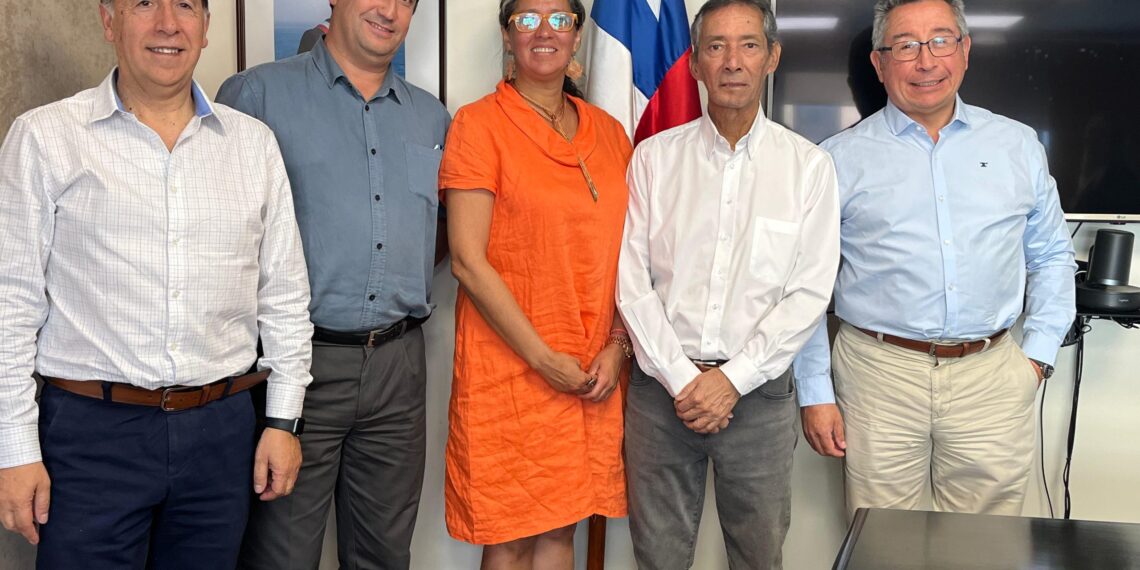 Puertos del Conosur se reúne con subsecretaria para impulsar turismo de cruceros en Chile