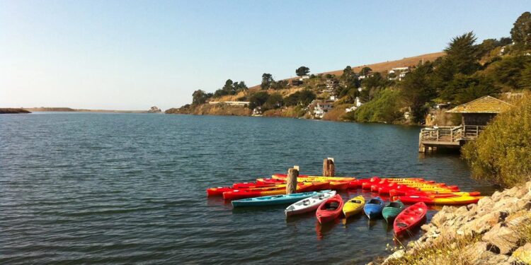 La tendencia de viajes virales atrae a vacacionistas a lugares turísticos donde el agua brilla en la oscuridad. – Periódico HOY