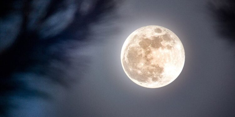 ¿Cuáles son los mejores destinos de México para ver los fenómenos astronómicos del 2025?; conoce los motivos