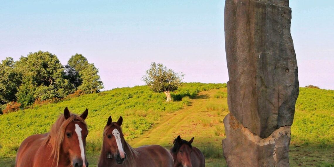 Parque Natural de Gorbeia, nominado a Mejor Destino Natural en los Premios de los Lectores de Viajes National Geographic