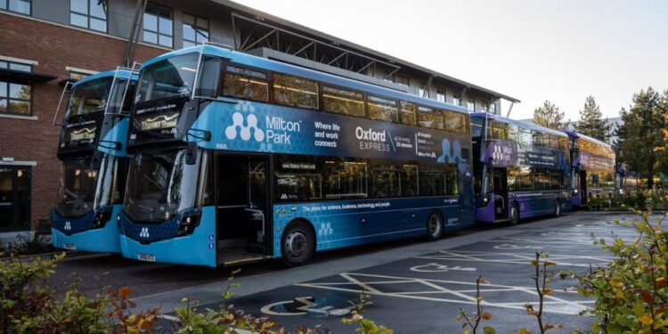 Llamados para que los mayores de 60 años reciban viajes en autobús gratuitos – ¿estás de acuerdo? – Periódico HOY