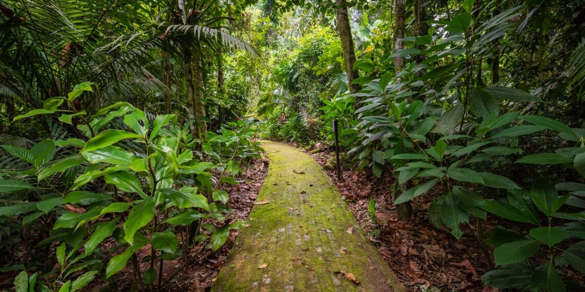 Paisajes de ensueño, autenticidad y tradiciones vivas, así es Ecuador