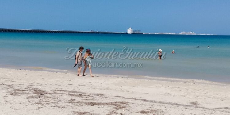 Crucero con miles de turistas arriba a Progreso, pero pocos se quedan en el puerto