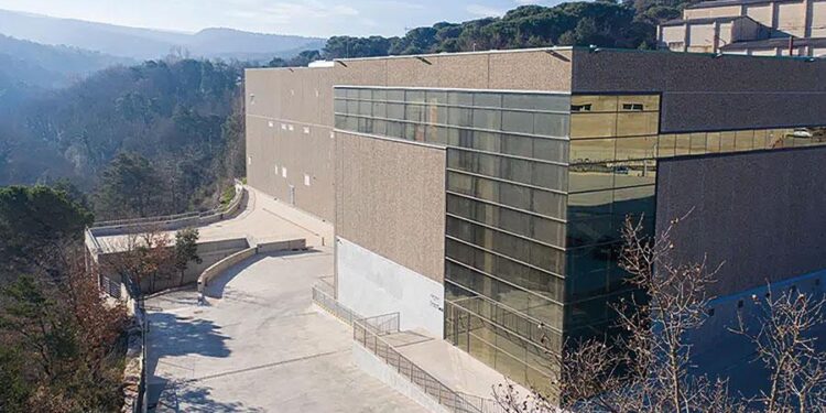 Zyrcular Foods se incorpora a la asociación Vegetal/es