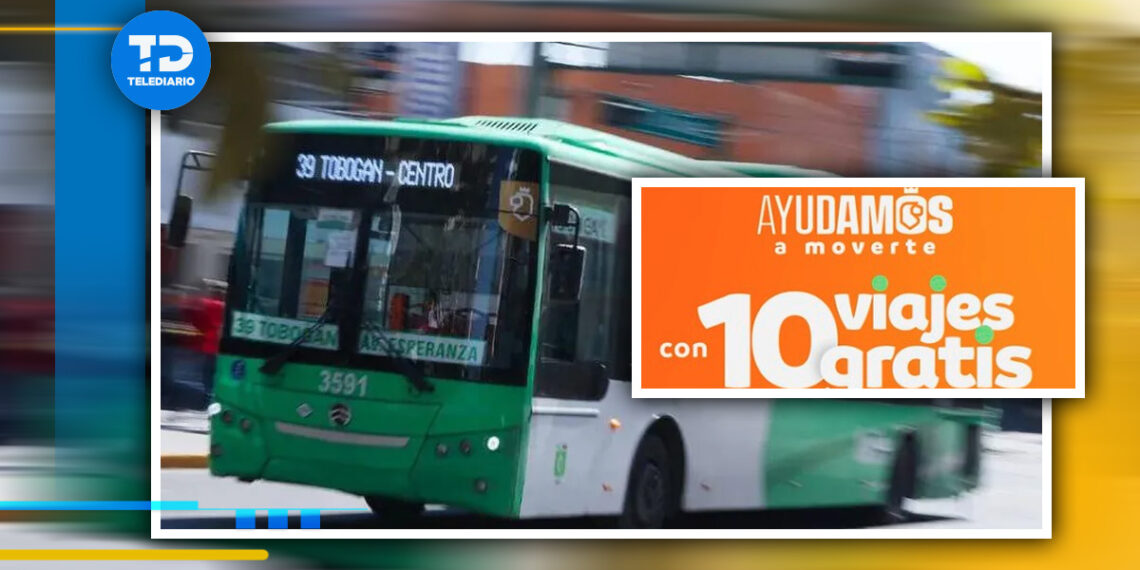 quiénes podrán tener viajes gratis| Telediario México