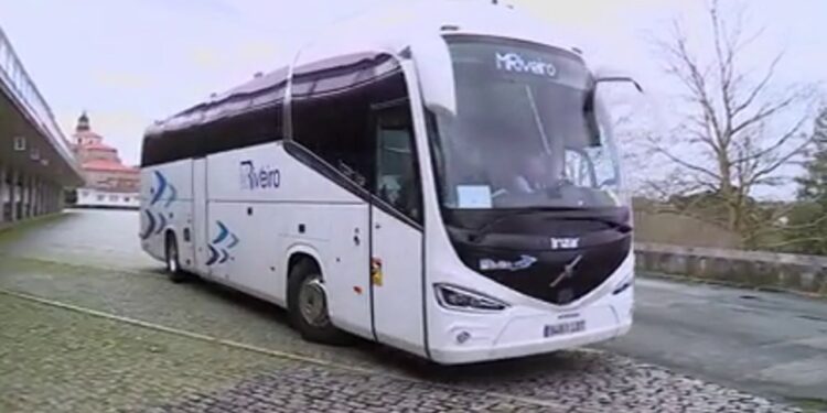 “De algunos salen parejas y pandillas de amigos”