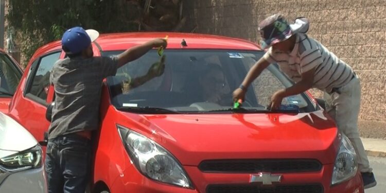 Procuraduría identifica hasta 30 menores trabajando en cruceros.