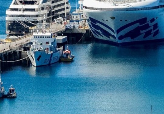 Dos cruceros arribaron este martes a Puerto Madryn