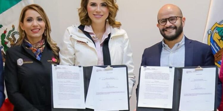GobBC y DiDi reafirman compromiso con mujeres al ofrecer viajes gratis en situaciones de violencia – En Linea BC