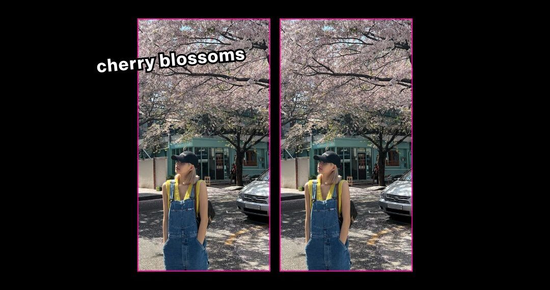 Los top lugares del mundo para ver flores de cerezo en primavera