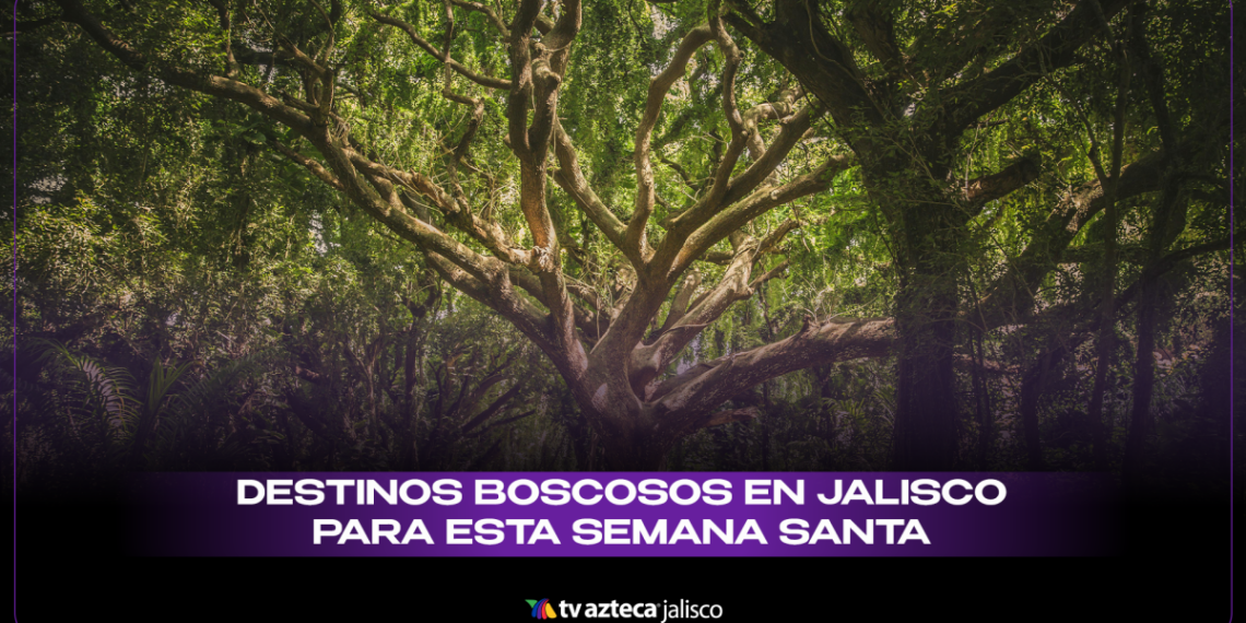 Mejores destinos de bosque y montaña en Jalisco