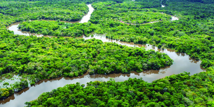 CROISIEUROPE CRUISES 2027: UN NUEVO CAPÍTULO SE ESCRIBE EN EL AMAZONAS