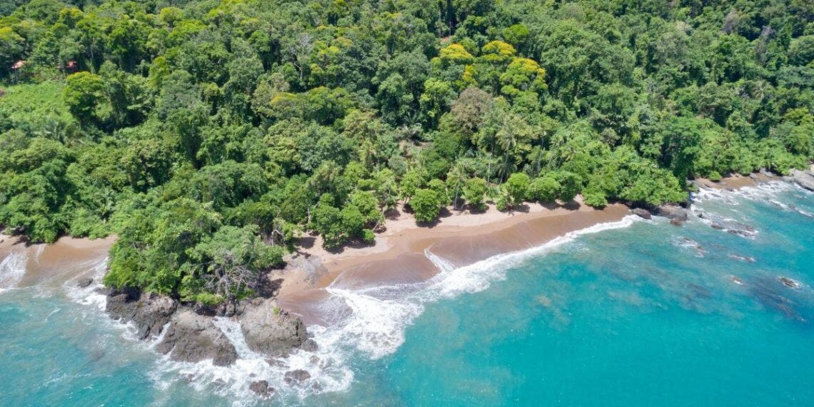 Parque Nacional Corcovado entre los 10 mejores destinos del mundo para viajar en 2025, según Wanderlust