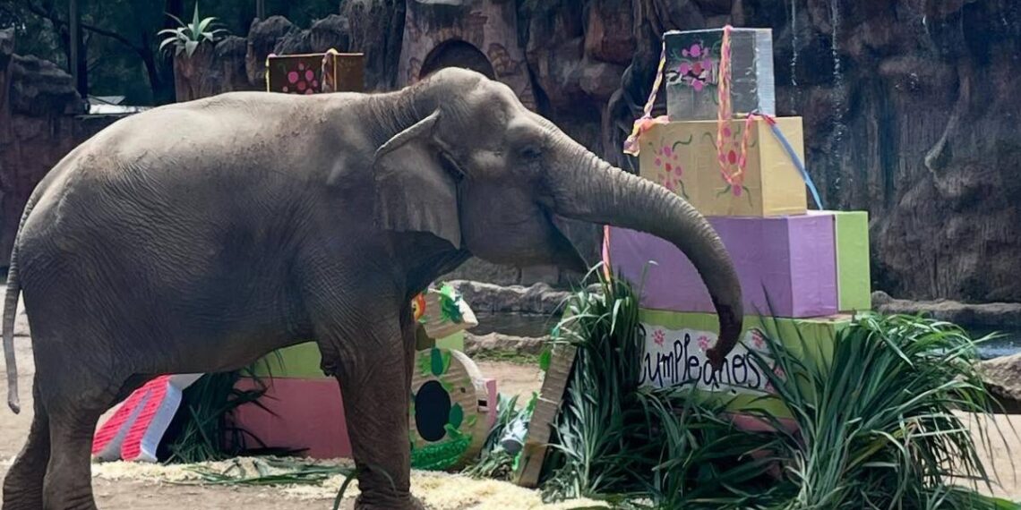 Zoológico La Aurora, entre los 10 mejores destinos