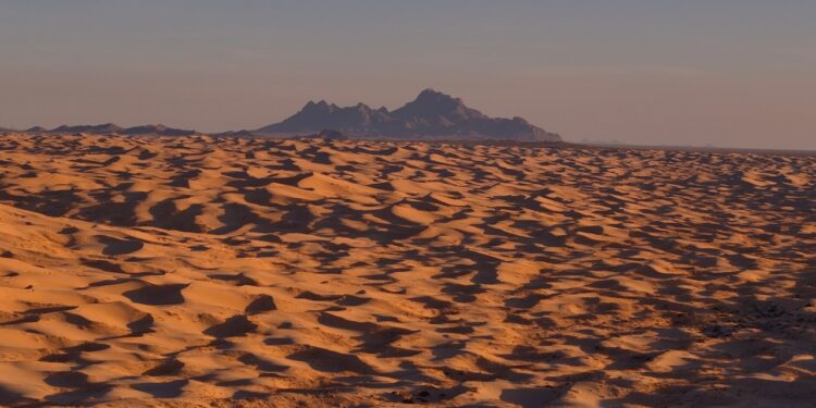 Chihuahua, más allá que un simple destino bonito