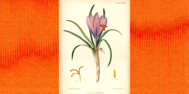 Your Next Powerhouse Beauty Ingredient May Already Be In Your Spice Cabinet