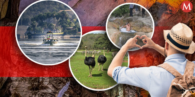 Conoce estas opciones de tours para visitar lugares turísticos en NL- Grupo Milenio