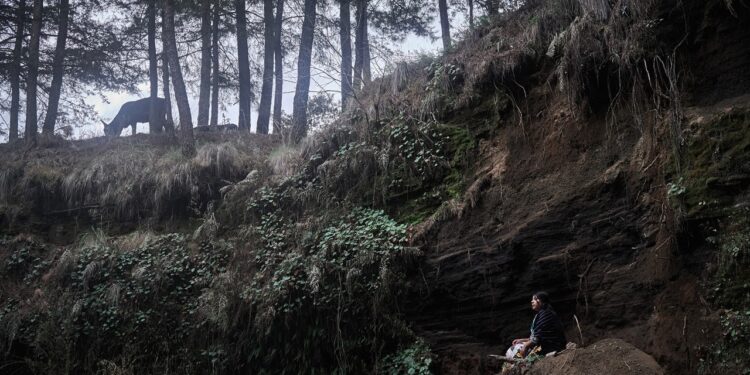 Earth Day 2025: Meet 4 Communities of Women Across Mexico Fighting to Preserve the Natural World Around Them