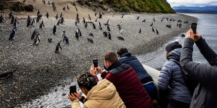 El turismo masivo y los riesgos en Ushuaia, el ‘fin del mundo’