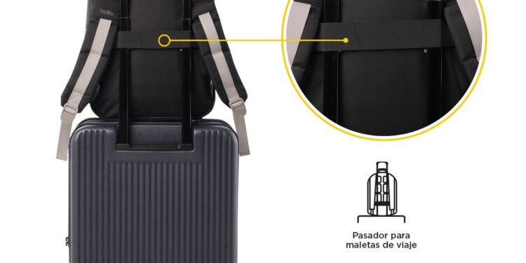 Los articulos, lentes, celular, protector solar, para tu viaje- Grupo Milenio